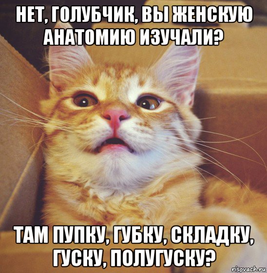 нет, голубчик, вы женскую анатомию изучали? там пупку, губку, складку, гуску, полугуску?