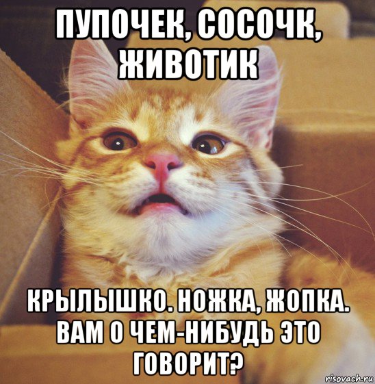 пупочек, сосочк, животик крылышко. ножка, жопка. вам о чем-нибудь это говорит?