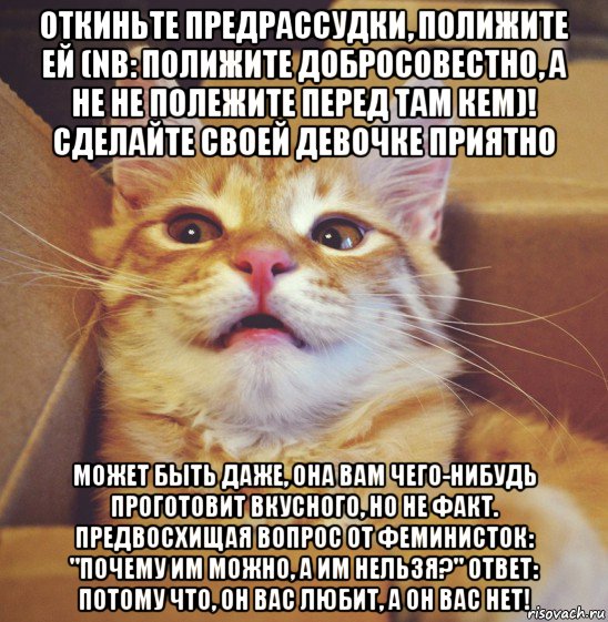 откиньте предрассудки, полижите ей (nb: полижите добросовестно, а не не полежите перед там кем)! сделайте своей девочке приятно может быть даже, она вам чего-нибудь проготовит вкусного, но не факт. предвосхищая вопрос от феминисток: "почему им можно, а им нельзя?" ответ: потому что, он вас любит, а он вас нет!
