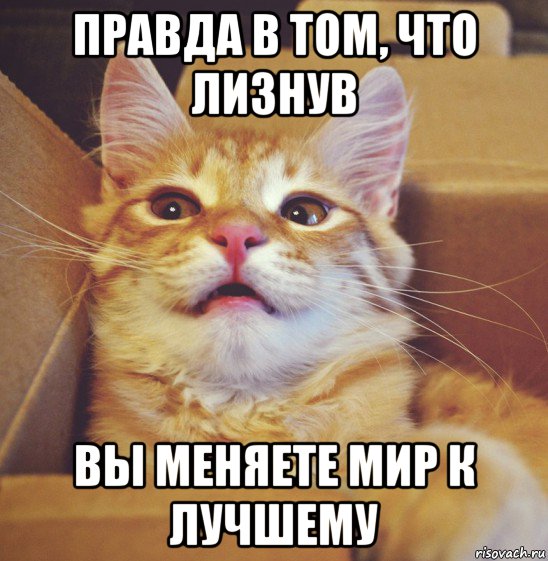 правда в том, что лизнув вы меняете мир к лучшему