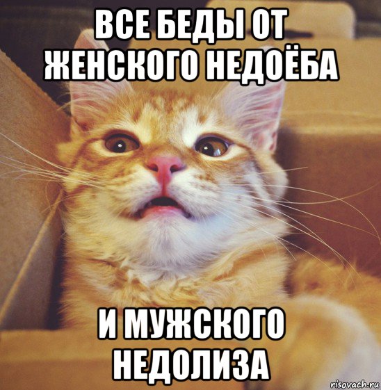 все беды от женского недоёба и мужского недолиза