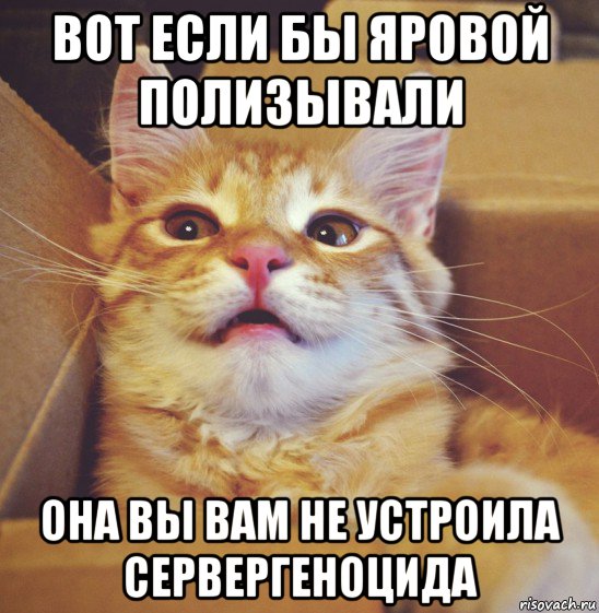 вот если бы яровой полизывали она вы вам не устроила сервергеноцида