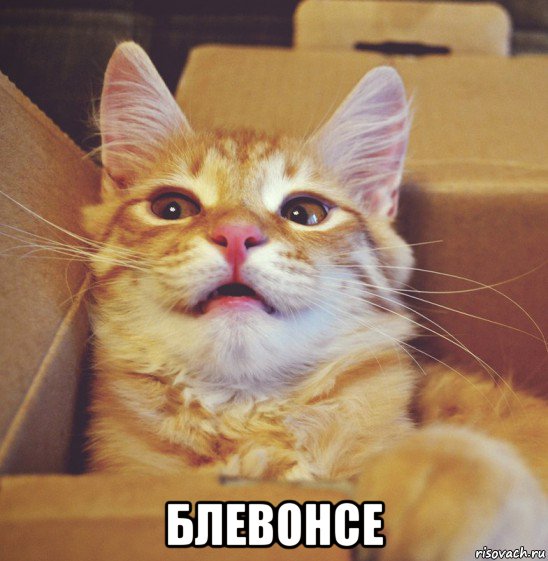  блевонсе