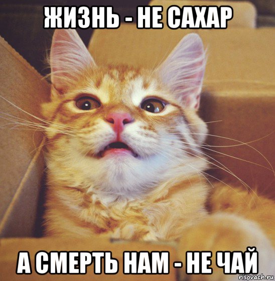 жизнь - не сахар а смерть нам - не чай