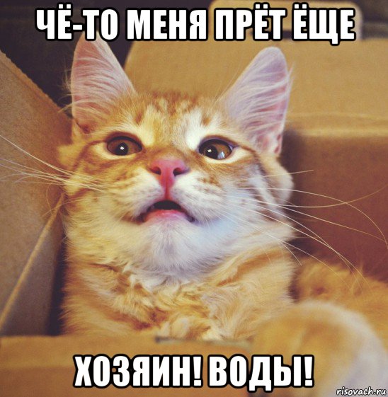 чё-то меня прёт ёще хозяин! воды!