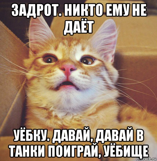 задрот. никто ему не даёт уёбку. давай, давай в танки поиграй, уёбище