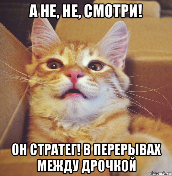 а не, не, смотри! он стратег! в перерывах между дрочкой