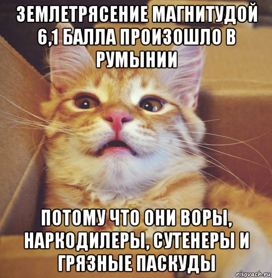 землетрясение магнитудой 6,1 балла произошло в румынии потому что они воры, наркодилеры, сутенеры и грязные паскуды