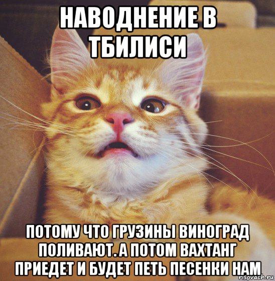 наводнение в тбилиси потому что грузины виноград поливают. а потом вахтанг приедет и будет петь песенки нам