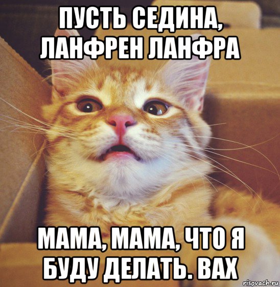 пусть седина, ланфрен ланфра мама, мама, что я буду делать. вах