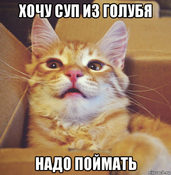 хочу суп из голубя надо поймать
