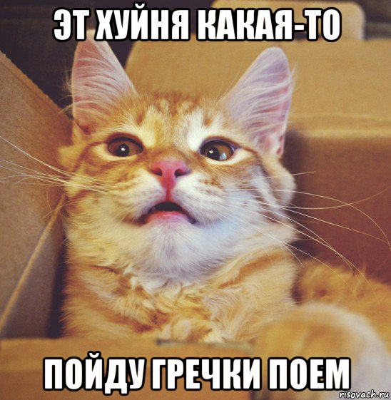 эт хуйня какая-то пойду гречки поем
