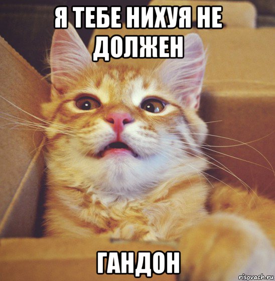 я тебе нихуя не должен гандон