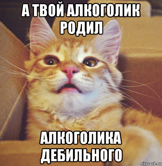 а твой алкоголик родил алкоголика дебильного
