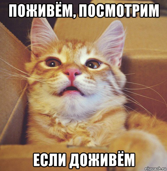 поживём, посмотрим если доживём
