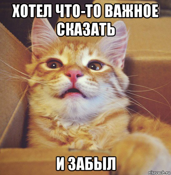 хотел что-то важное сказать и забыл