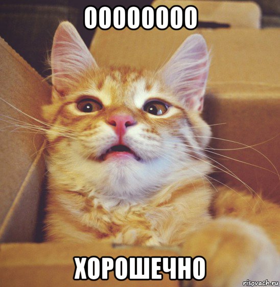 оооооооо хорошечно
