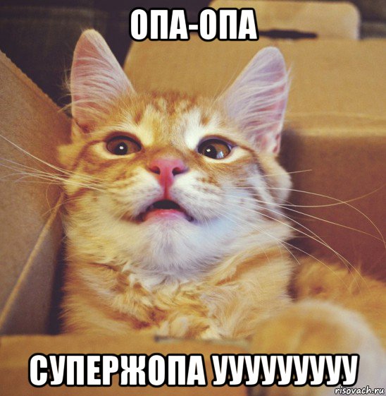 опа-опа супержопа ууууууууу