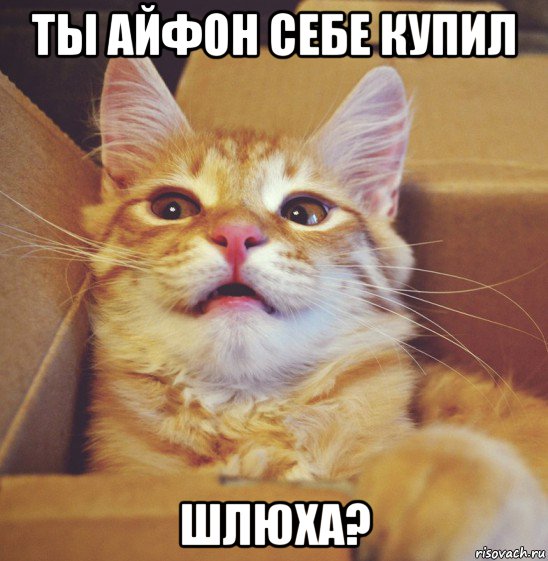 ты айфон себе купил шлюха?, Мем А что если