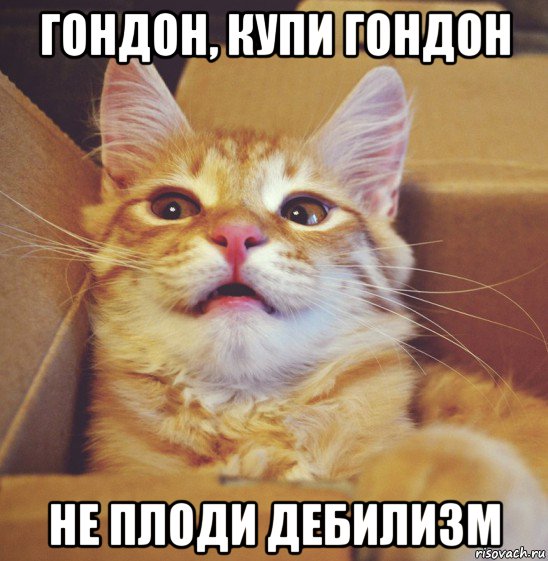 гондон, купи гондон не плоди дебилизм