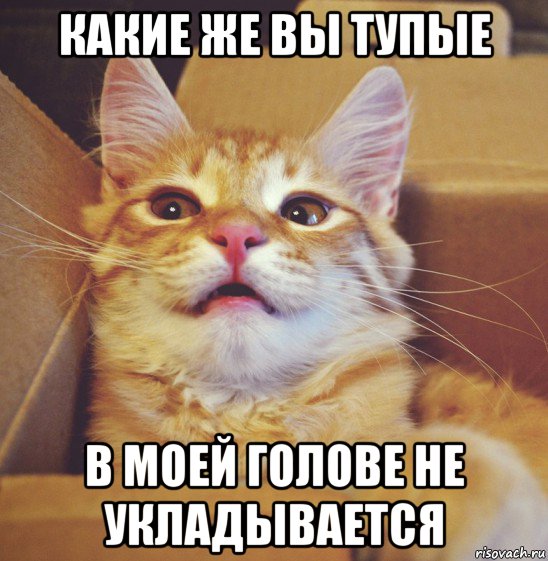 какие же вы тупые в моей голове не укладывается, Мем А что если