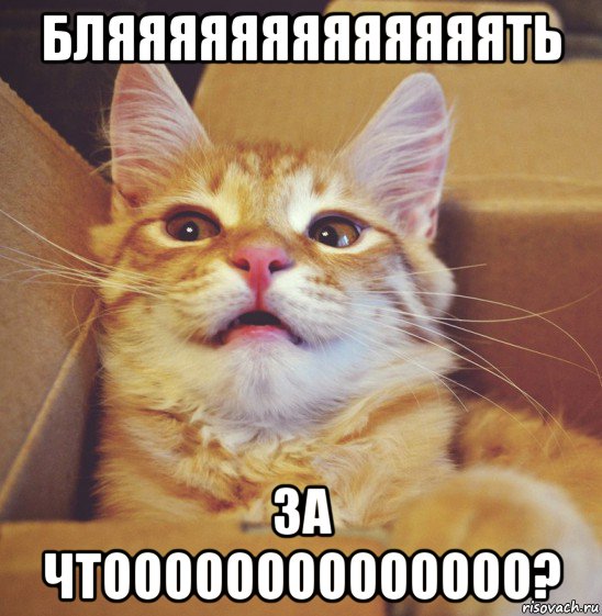 бляяяяяяяяяяяяять за чтоооооооооооооо?, Мем А что если
