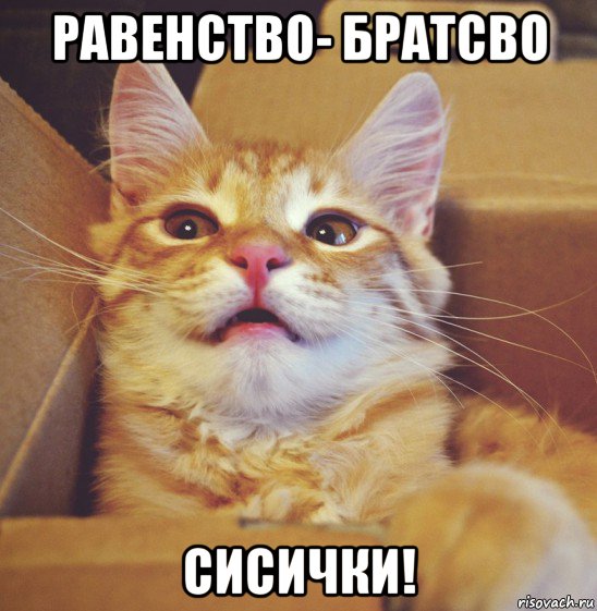 равенство- братсво сисички!