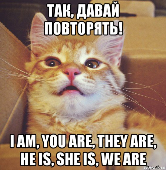 так, давай повторять! i am, you are, they are, he is, she is, we are, Мем А что если