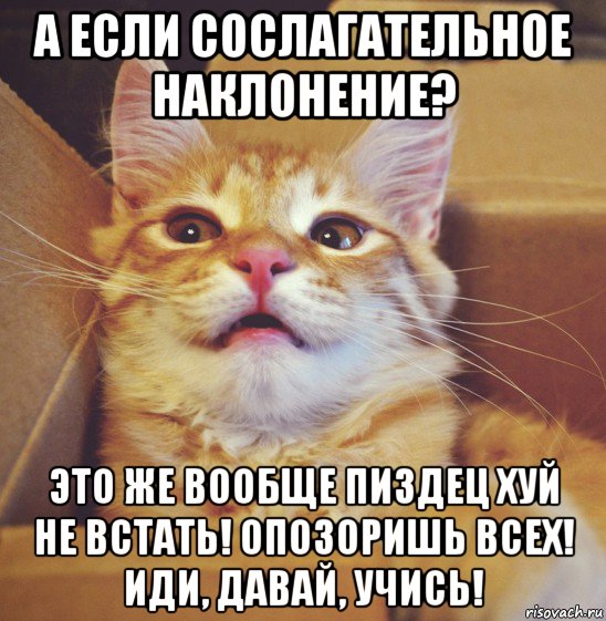 а если сослагательное наклонение? это же вообще пиздец хуй не встать! опозоришь всех! иди, давай, учись!, Мем А что если
