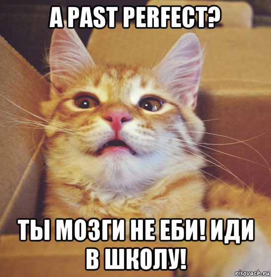 а past perfect? ты мозги не еби! иди в школу!, Мем А что если