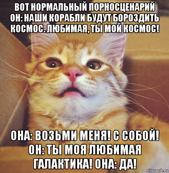 вот нормальный порносценарий он: наши корабли будут бороздить космос. любимая, ты мой космос! она: возьми меня! с собой! он: ты моя любимая галактика! она: да!, Мем А что если