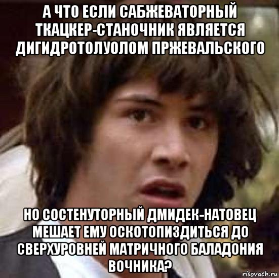 а что если сабжеваторный ткацкер-станочник является дигидротолуолом пржевальского но состенуторный дмидек-натовец мешает ему оскотопиздиться до сверхуровней матричного баладония вочника?, Мем А что если (Киану Ривз)