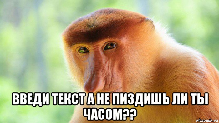  введи текст а не пиздишь ли ты часом??, Мем А не пиздишь ли ты часом