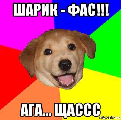 шарик - фас!!! ага... щассс, Мем Advice Dog