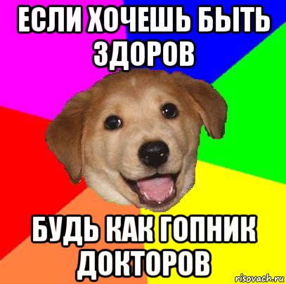 если хочешь быть здоров будь как гопник докторов, Мем Advice Dog