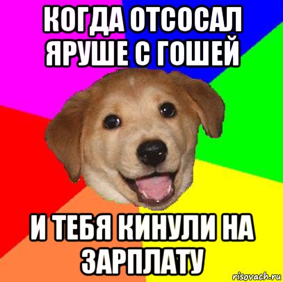 когда отсосал яруше с гошей и тебя кинули на зарплату, Мем Advice Dog