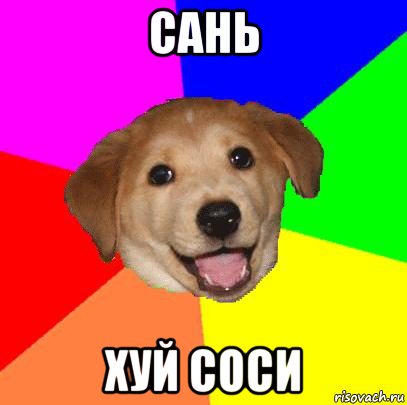 сань хуй соси, Мем Advice Dog