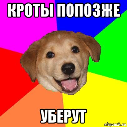 кроты попозже уберут, Мем Advice Dog