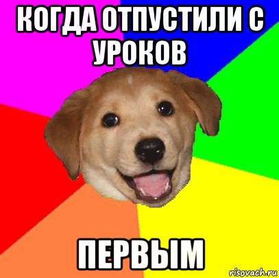 когда отпустили с уроков первым, Мем Advice Dog