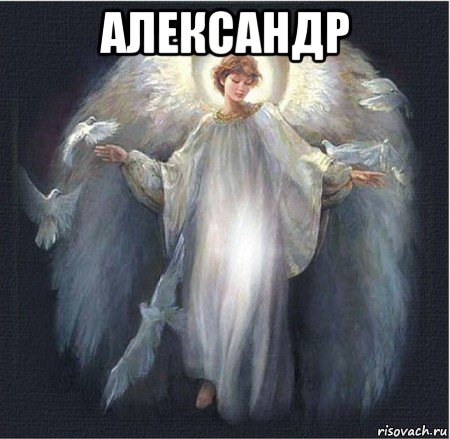 александр 