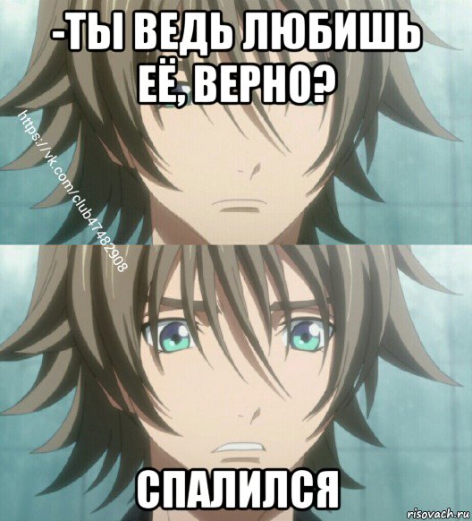 -ты ведь любишь её, верно? спалился