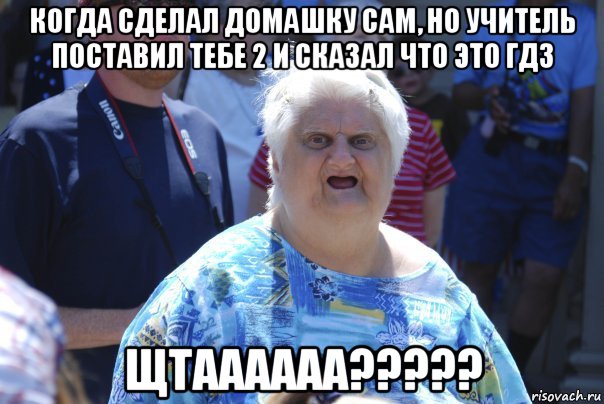 когда сделал домашку сам, но учитель поставил тебе 2 и сказал что это гдз щтаааааа?????, Мем Шта (Бабка wat)