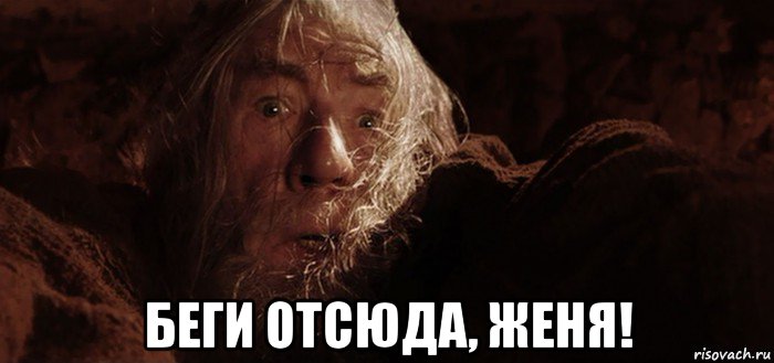  беги отсюда, женя!, Мем Бегите глупцы