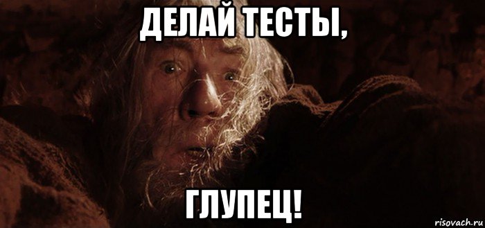 делай тесты, глупец!, Мем Бегите глупцы