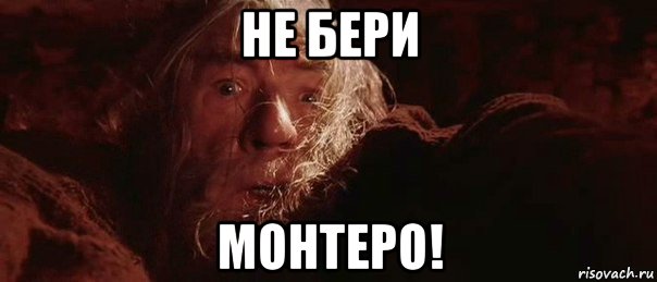 не бери монтеро!, Мем бегите глупцы