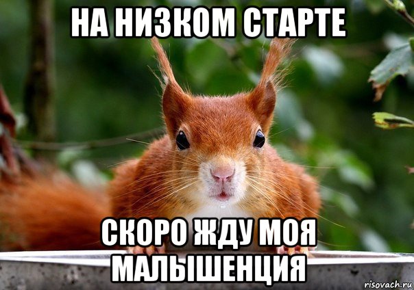 на низком старте скоро жду моя малышенция