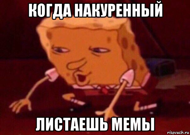 когда накуренный листаешь мемы, Мем    Bettingmemes