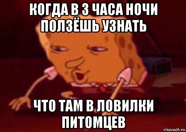 когда в 3 часа ночи ползёшь узнать что там в ловилки питомцев, Мем    Bettingmemes