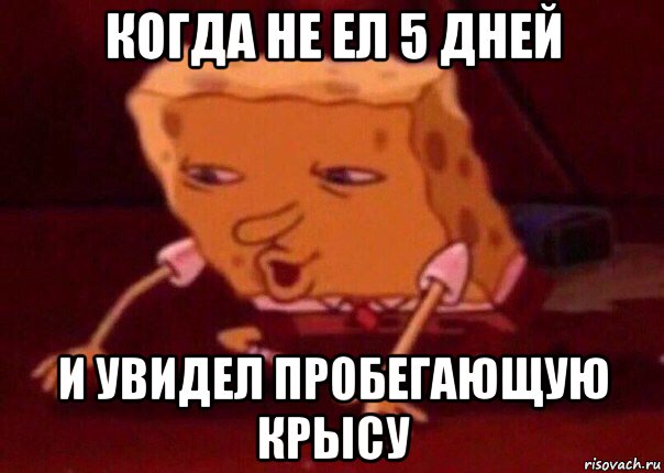 когда не ел 5 дней и увидел пробегающую крысу, Мем    Bettingmemes