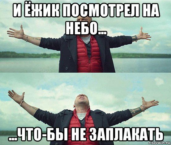 и ёжик посмотрел на небо... ...что-бы не заплакать, Мем Безлимитище